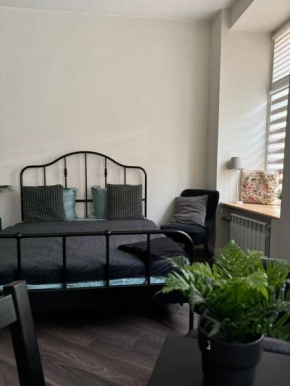 Modern city centre apartment